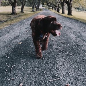 Meet your Posher, Max